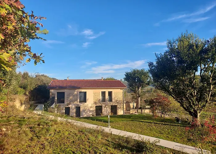 La Truffiere Des Collines - Cote Tilleul